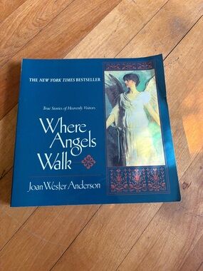 Where Angels Walk Book